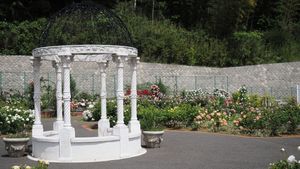 P5093903