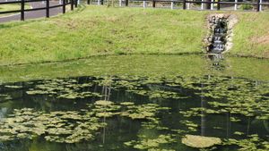 P7220261