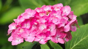 P6040164-full