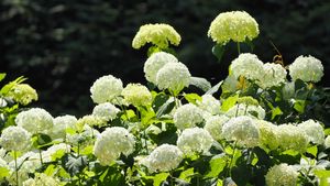P6130171