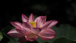 P7290280