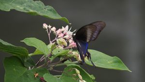PA030765