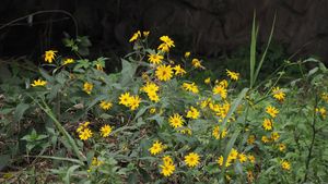 PA030976
