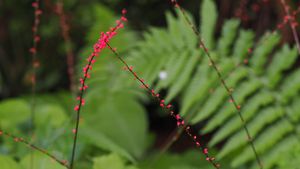 PA030983