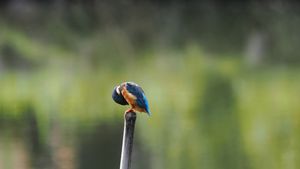 PA030992